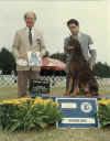 First Show Working Group 1984.jpg (50037 bytes)